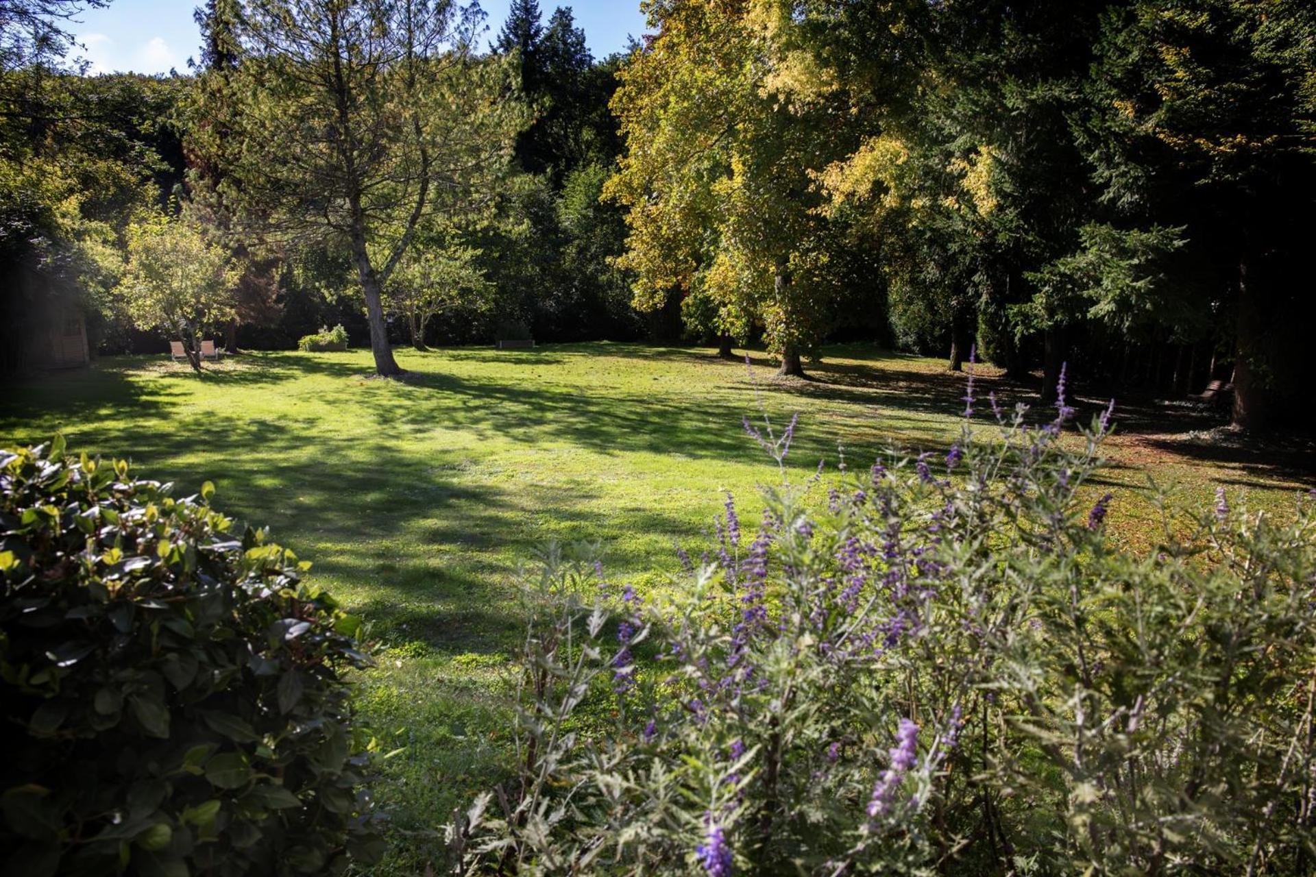 L'Aubiniere Hotel Restaurant & Spa Saint-Ouen-les-Vignes Eksteriør bilde